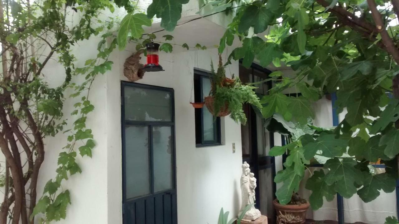 Hostal El Cascabel Чолула Екстериор снимка